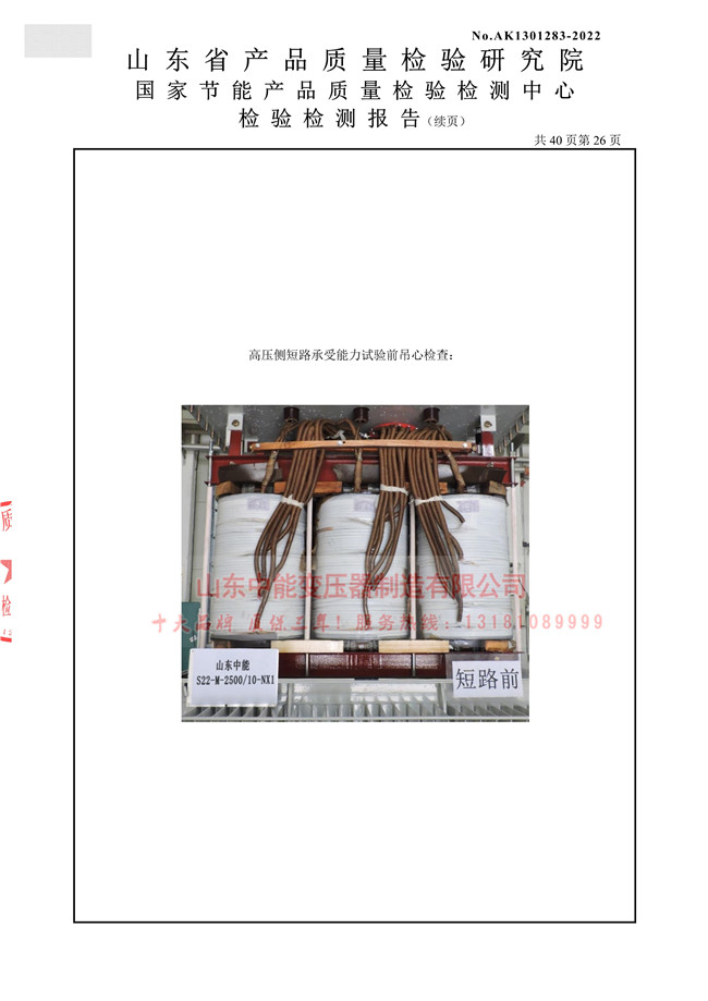 1677032700591961.jpg 山东中能S22-M-2500型式_28_1.jpg